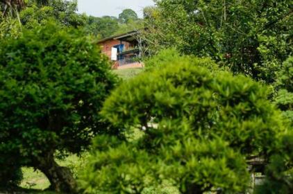 Finca Romelia Orchids and Birds