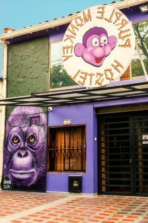 Purple Monkey Hostel - Photo2