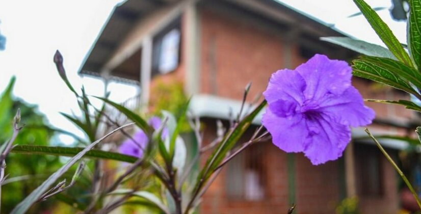 Samai Hostal - Photo5