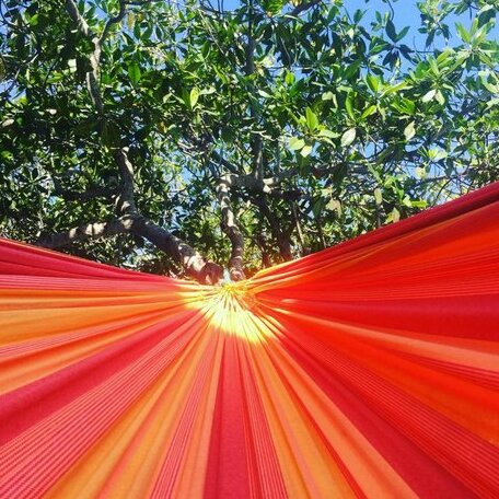 CRIOLLO Beach Camp - Photo3