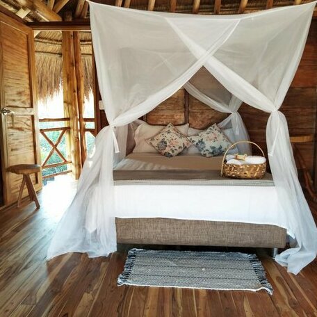 Paraiso Natural Ecohotel - Photo2