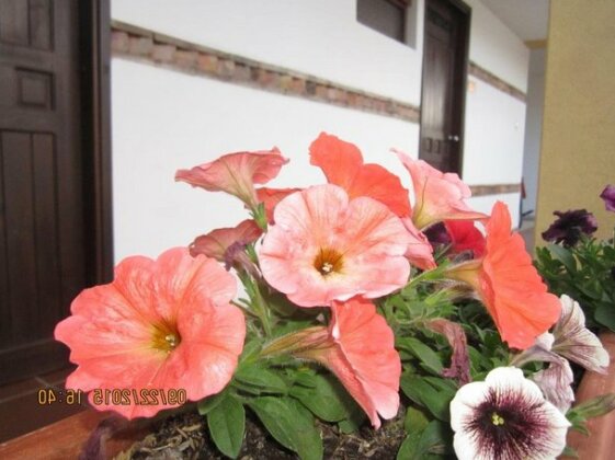 Hotel Villa Sofia - Photo2