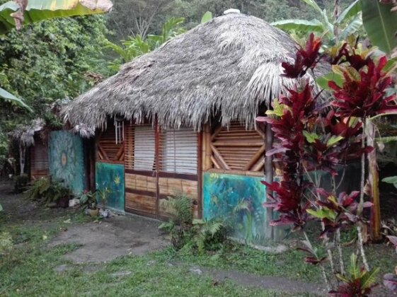 Tropical Biohostel - Photo2
