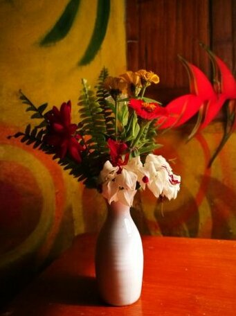Tropical Biohostel - Photo3