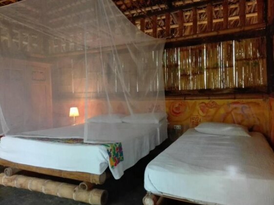 Tropical Biohostel - Photo4