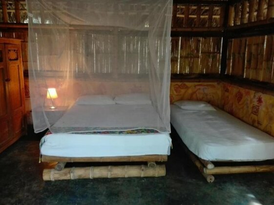 Tropical Biohostel - Photo5