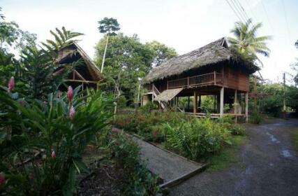 Cabana los Termales