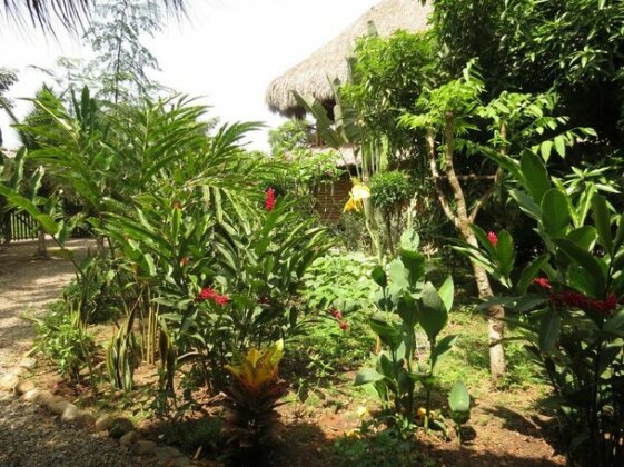 Casa de Guadua - Photo5