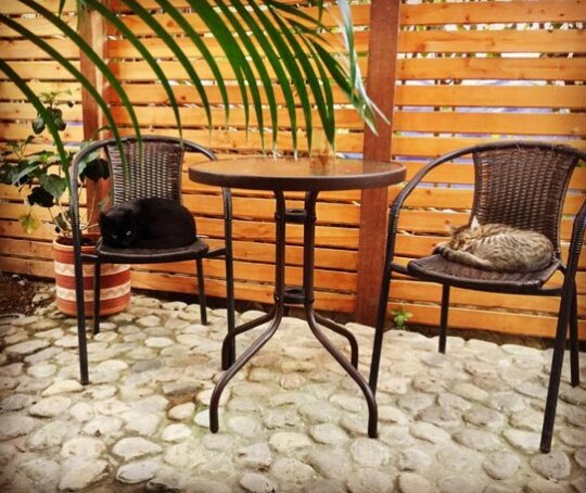 Casa Juntos - Photo4