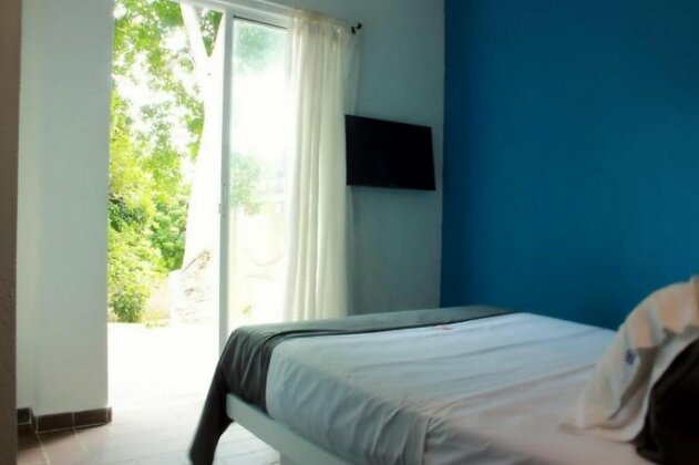 Color Hostel Palomino - Photo3