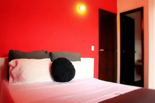 Color Hostel Palomino - Photo4
