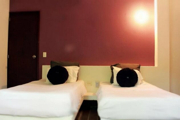 Color Hostel Palomino - Photo5
