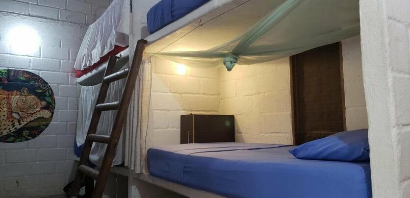 El Zoo Hostel & Pool - Photo4