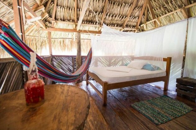 Hostal Bella Flor - Photo2