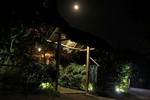 Tiki Hut Hostel - Photo2