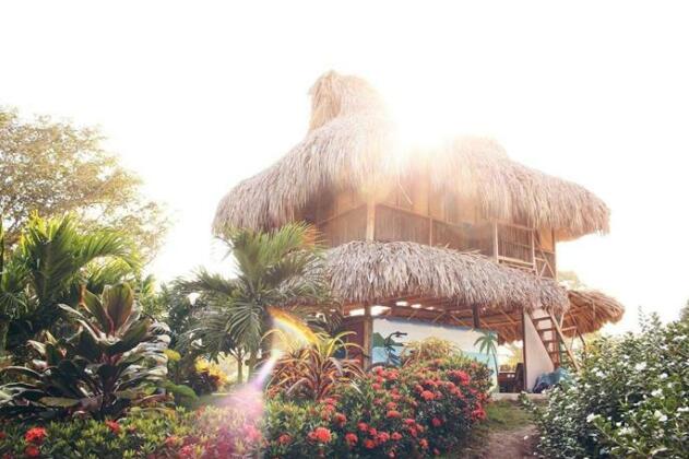 Tiki Hut Hostel - Photo4