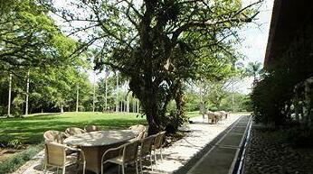 Hacienda Hotel San Jose SAS - Photo5