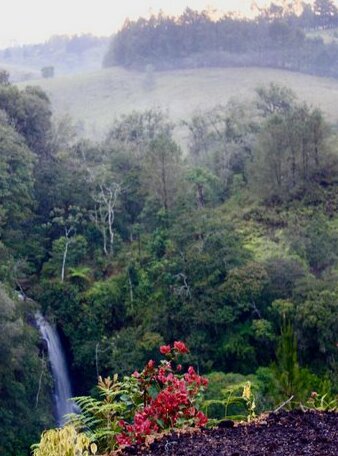 Waterfall Cafe Retreat - Photo4