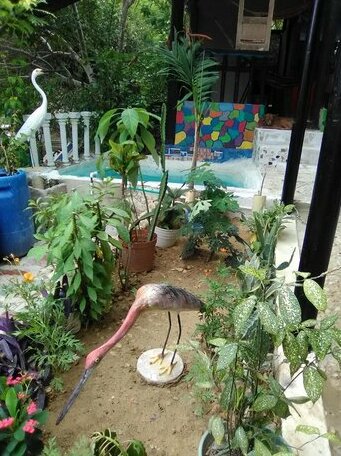 El Hamakero De Conchi-Hostal - Photo2