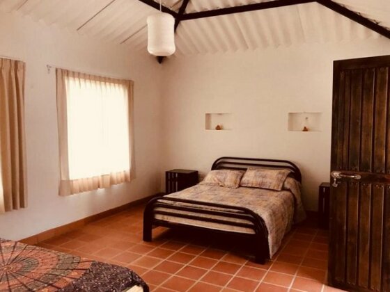 Finca El Sandalo - Photo5