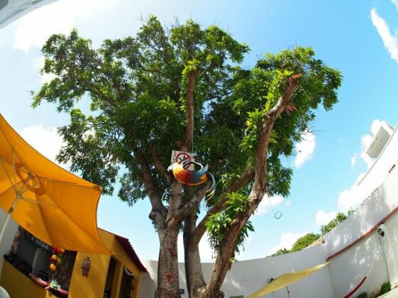 Happiness Hostel Riohacha - Photo3