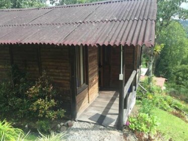 Cabanas Portal del Cocora