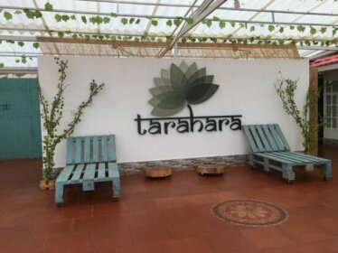 TaraHara