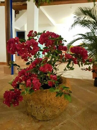 Meraki Boutique Hostel - Photo3