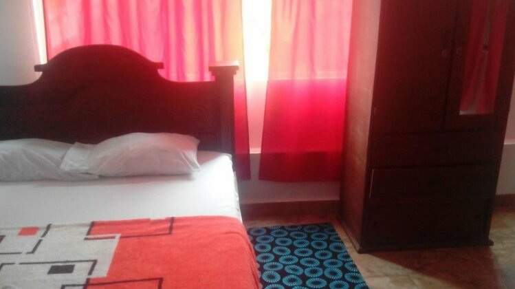 The Culture Hostel - Photo3