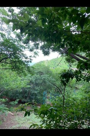 Casa Higo - Photo3