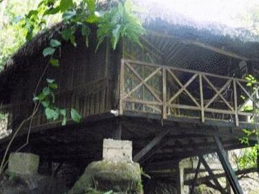 EcoHostal Rio Piedra - Photo2