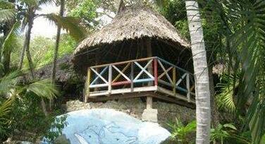 EcoHostal Rio Piedra - Photo4