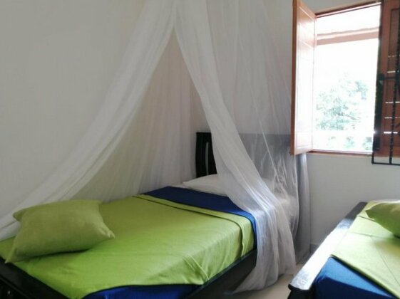 Hostal Coco Bomgo - Photo4