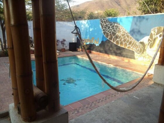 La Tortuga Hostel - Photo5