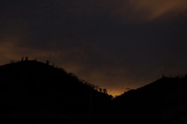 Lion House Hostel - Photo4