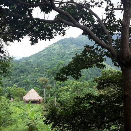 Reserva Atashi - Photo2