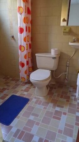 Roshambo hostal - Photo4