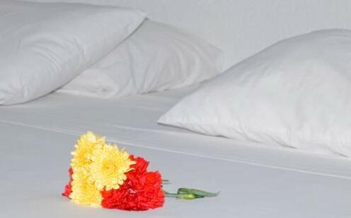 Svahns ApartHotel - Photo5
