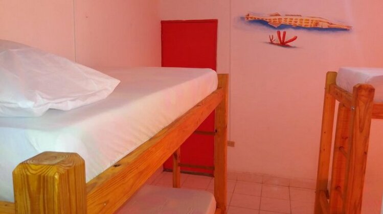 Taganga Paradise Hostal & Diving - Photo4
