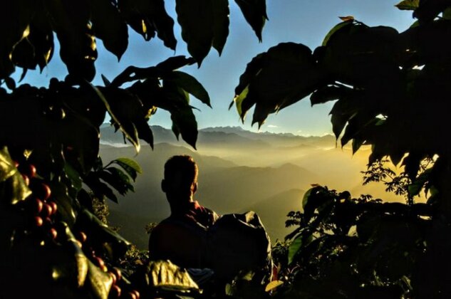 THE PALACE OF THE CLOUDS - Sierra Nevada De Santa Marta - Photo3