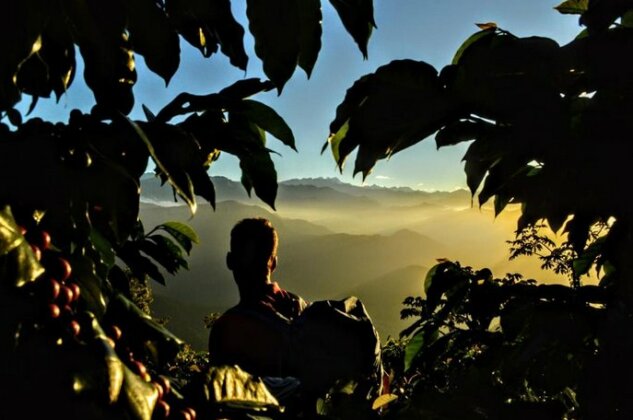 THE PALACE OF THE CLOUDS - Sierra Nevada De Santa Marta - Photo3