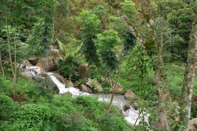 Finca Jardin del agua - Photo3