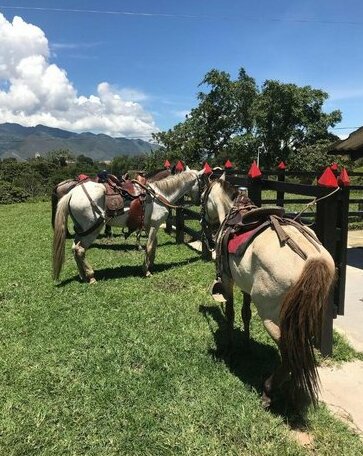 El Portal De Don Luis - Photo3