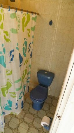 Fruit Palace Hostel - Photo3