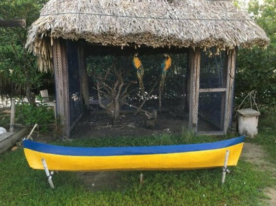El manglar de las mulatas - Photo4