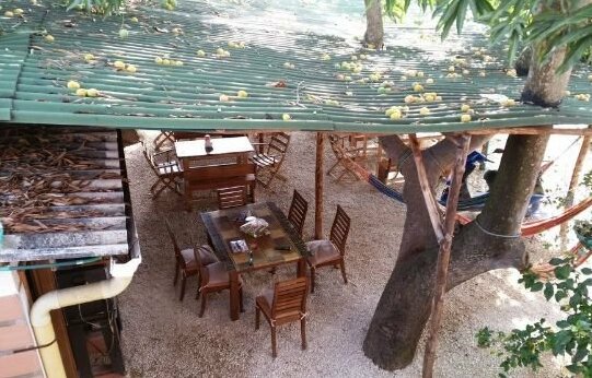 Hotel Pizzeria Opera Tolu - Photo5