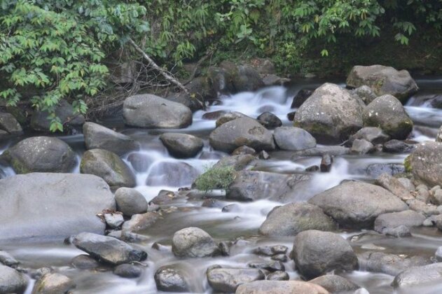 Finca Isla Wellness Retreat - Photo5