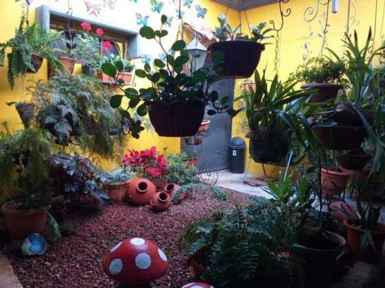 Eco House Alajuela - Photo2