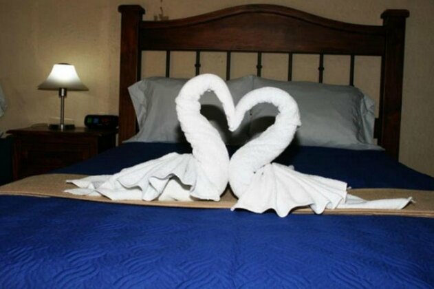 Hotel Millenium Alajuela - Photo5