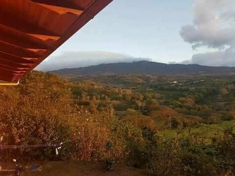Pura Italia - Photo4